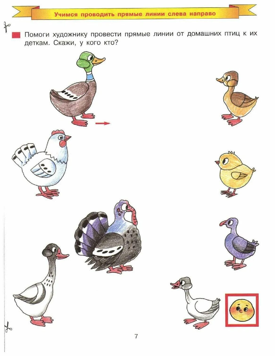 Домашние птицы задания для детей 4-5 лет. Птицы задания для детей 3-4 лет. Тень птицы задание для детей. Развивающие задания птицы для дошкольников. Развивающее занятие птицы.