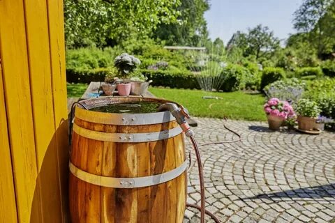 В саду стояла бочка для полива