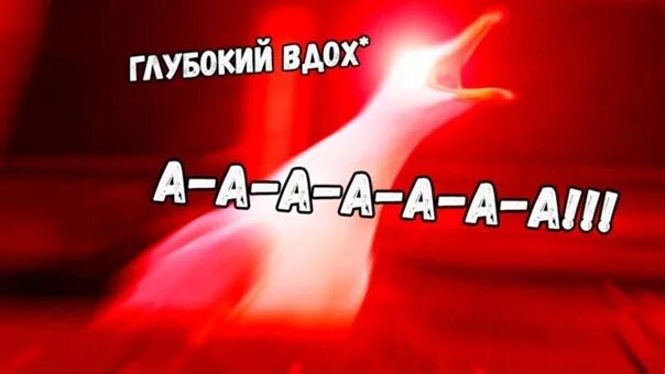 Глубокий вдох. Глубокий вздох. Вздох ааааааа. Глубокий вдох Мем. Глубокий вдох форум