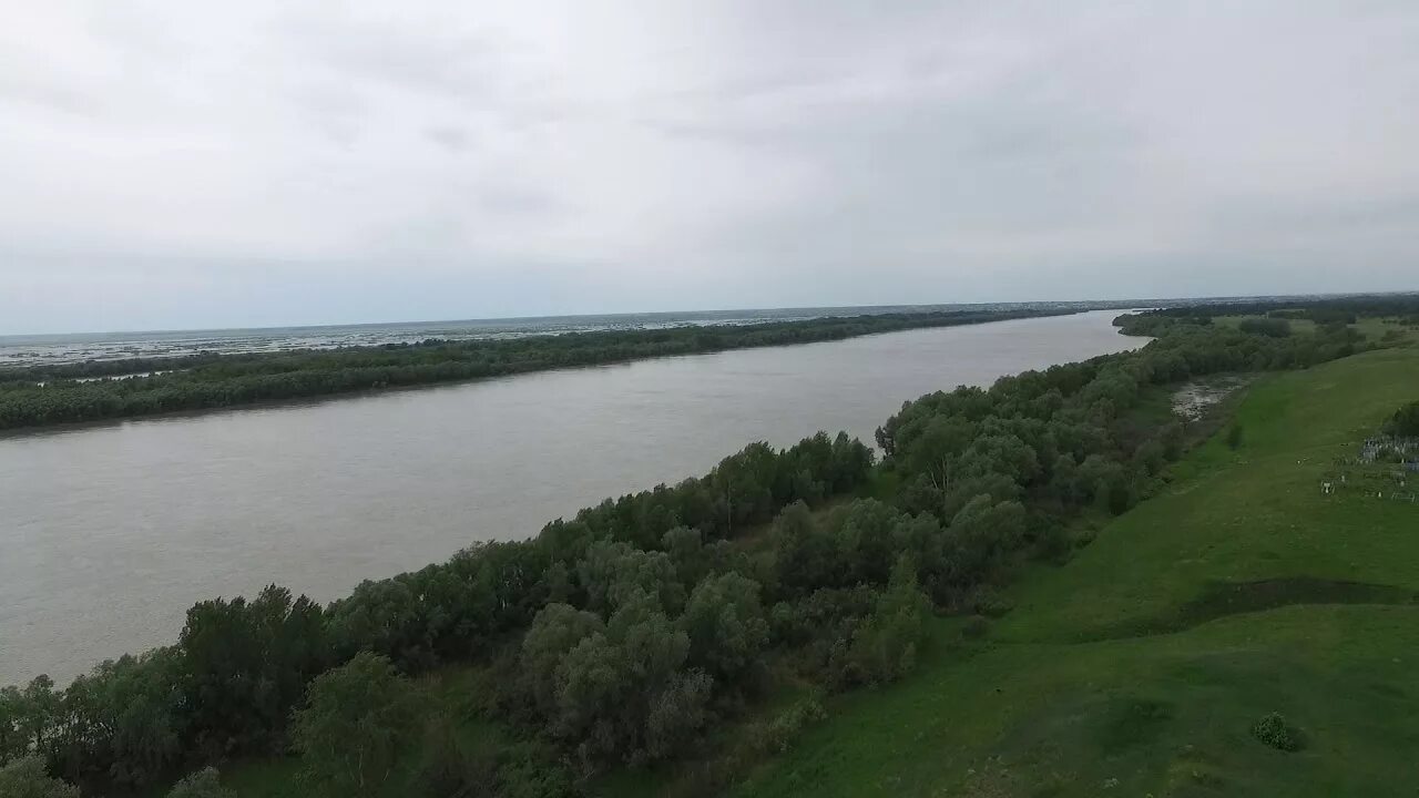 Оби сел. Река Обь Нижневартовск. Долина реки Обь. Река Обь Барнаул. Берег реки Обь.