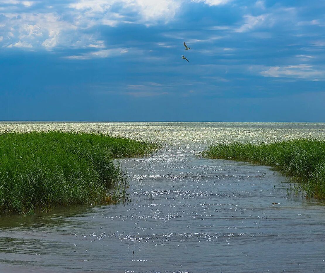Иртыш. Озеро чаны купинский район. Река каргат. Озеро чаны новосибирская область. Чаны впадающие реки.