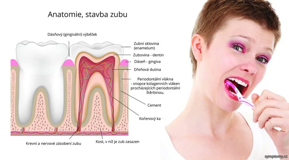 Почему чувствительность зуба. Чувствительность переднего зуба. Для снятия чувствительности зубов в стоматологии. Высокая чувствительность передних зубов. Альвеолит воспаление лунки.