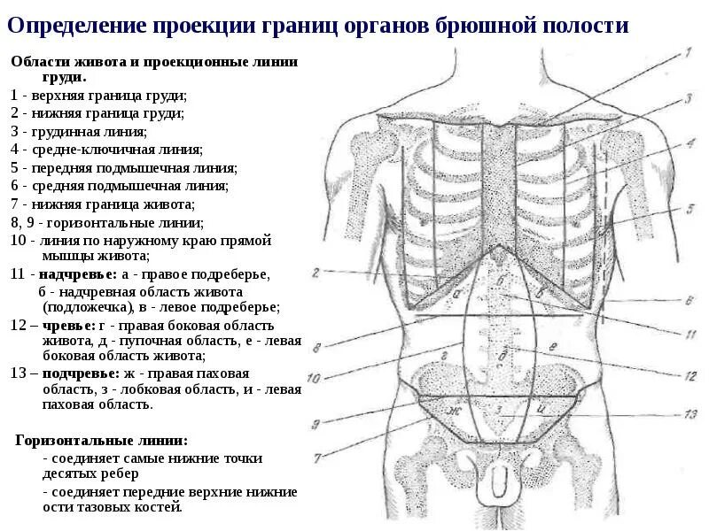Верхней линии