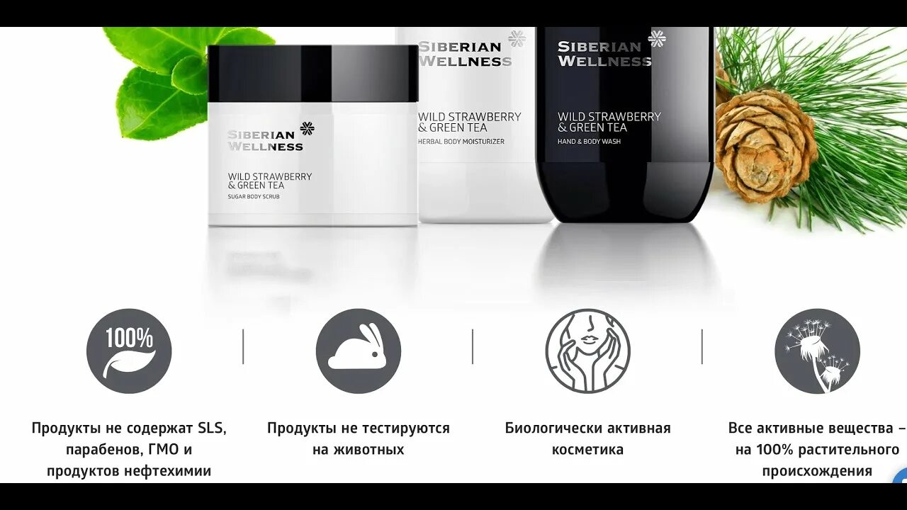 Siberian wellness якиманка. Spa collection siberian wellness. магазин siberian wellness. набор продукции siberian wellness. siberian wellness визитка.