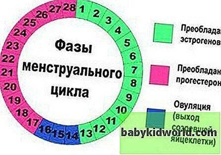 Можно ли забеременеть на 19 цикле