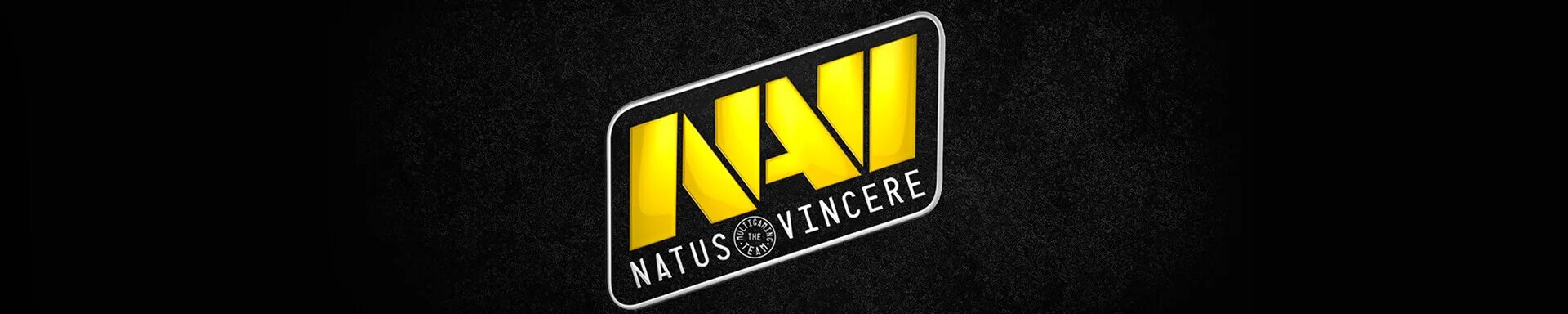 Navi cs go. Баннер после нави. Navi аватарка. Баннер нави. Аватар нави кс.