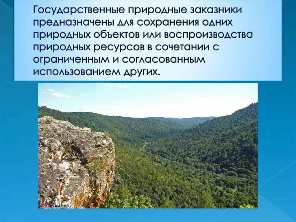 Природные заказники были. Государственные природные заказники. Правовой режим государственных природных заказников. ООПТ заказники. Правовой режим гос природных заповедников.