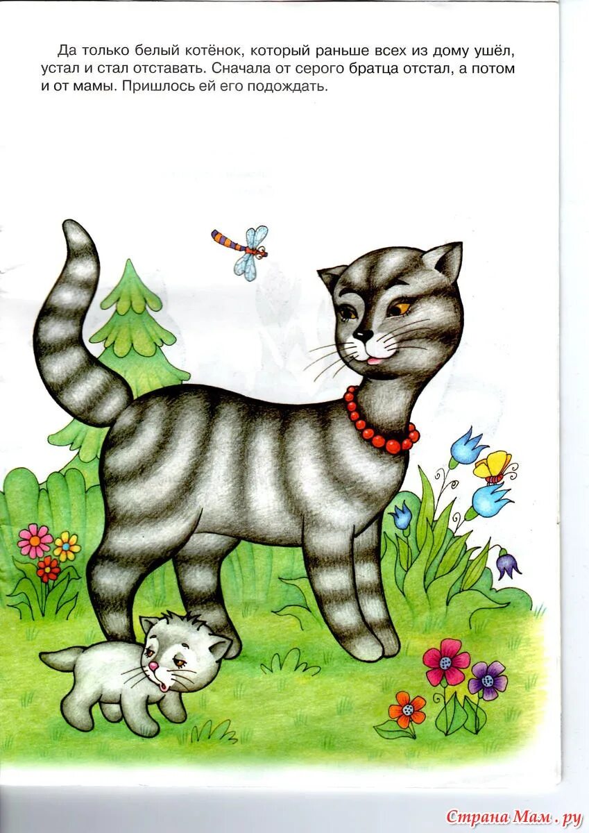 Сказка про котенка. Сказки для маленьких кошечек. Сказка про котят для детей. Маленькая сказка про котенка.