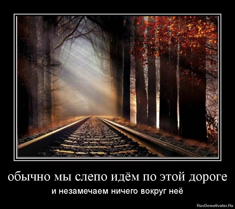 Ячкерный фо н ез ничего. Чисто чёрный фон без не. Красивые фразы для девочек. Картинки с надписями. Чёрный фон без ничего.