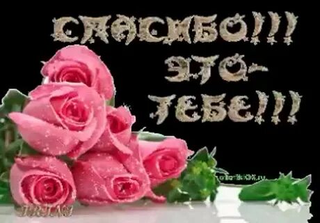Привет спасибо дорогая