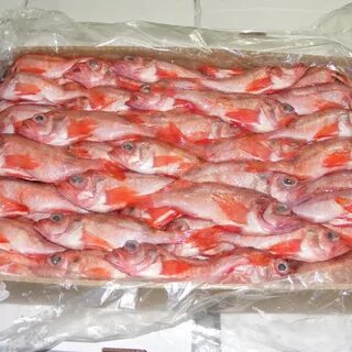 Сколько морозить красную рыбу