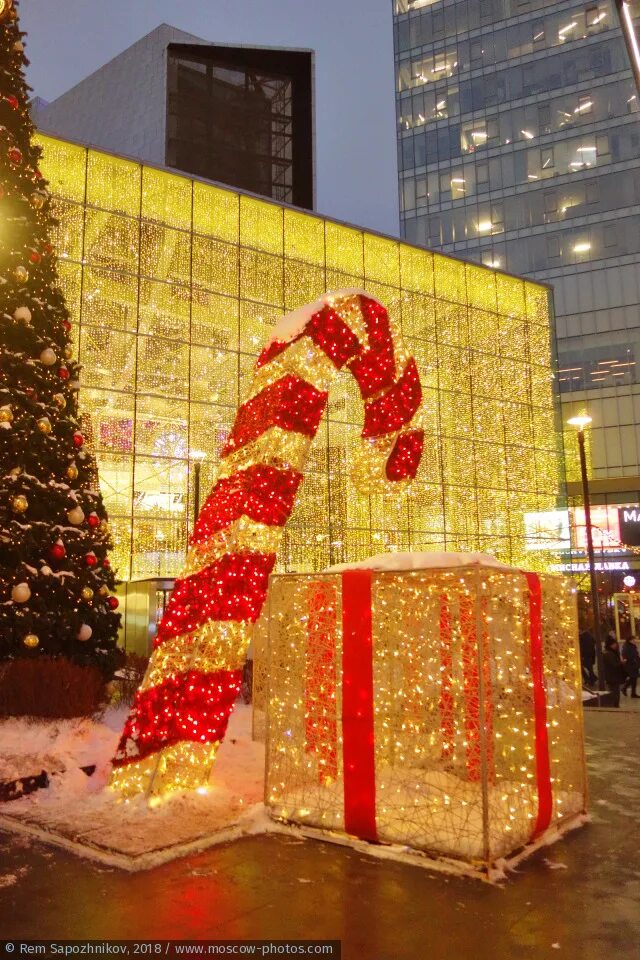 елка в кунцево