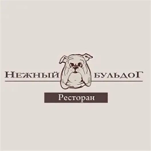 Нежный бульдог иркутск. Бульдог иркутск. Кафе с бульдогами в питере. Бульдог иркутск. Красивые кафе иркутск.