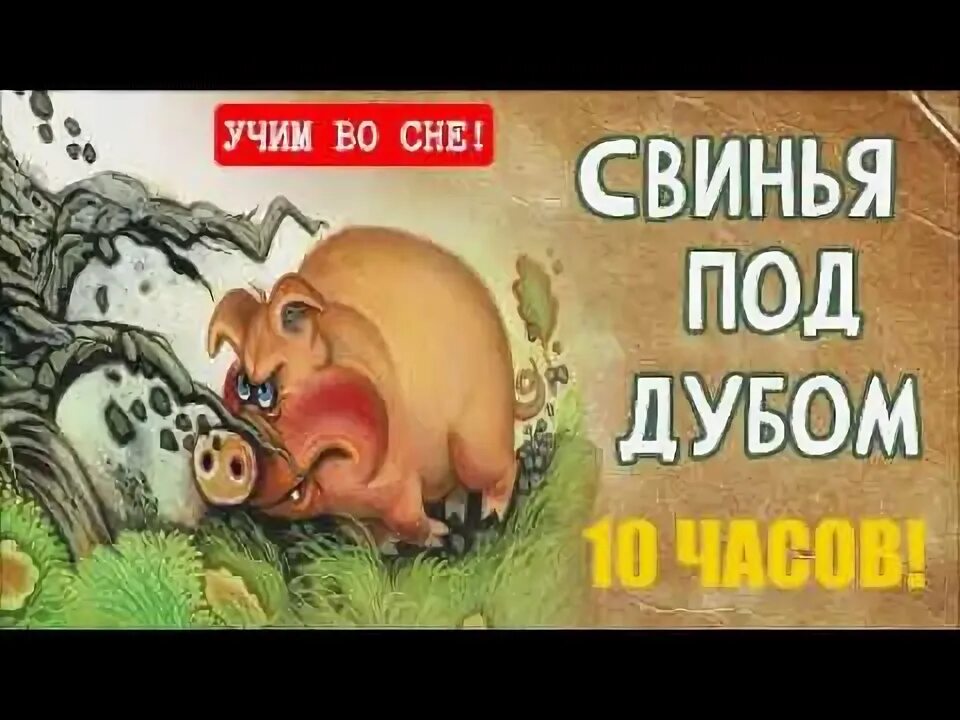 Как легко выучить басню свинья под дубом. Как легко выучить басню свинья под дубом