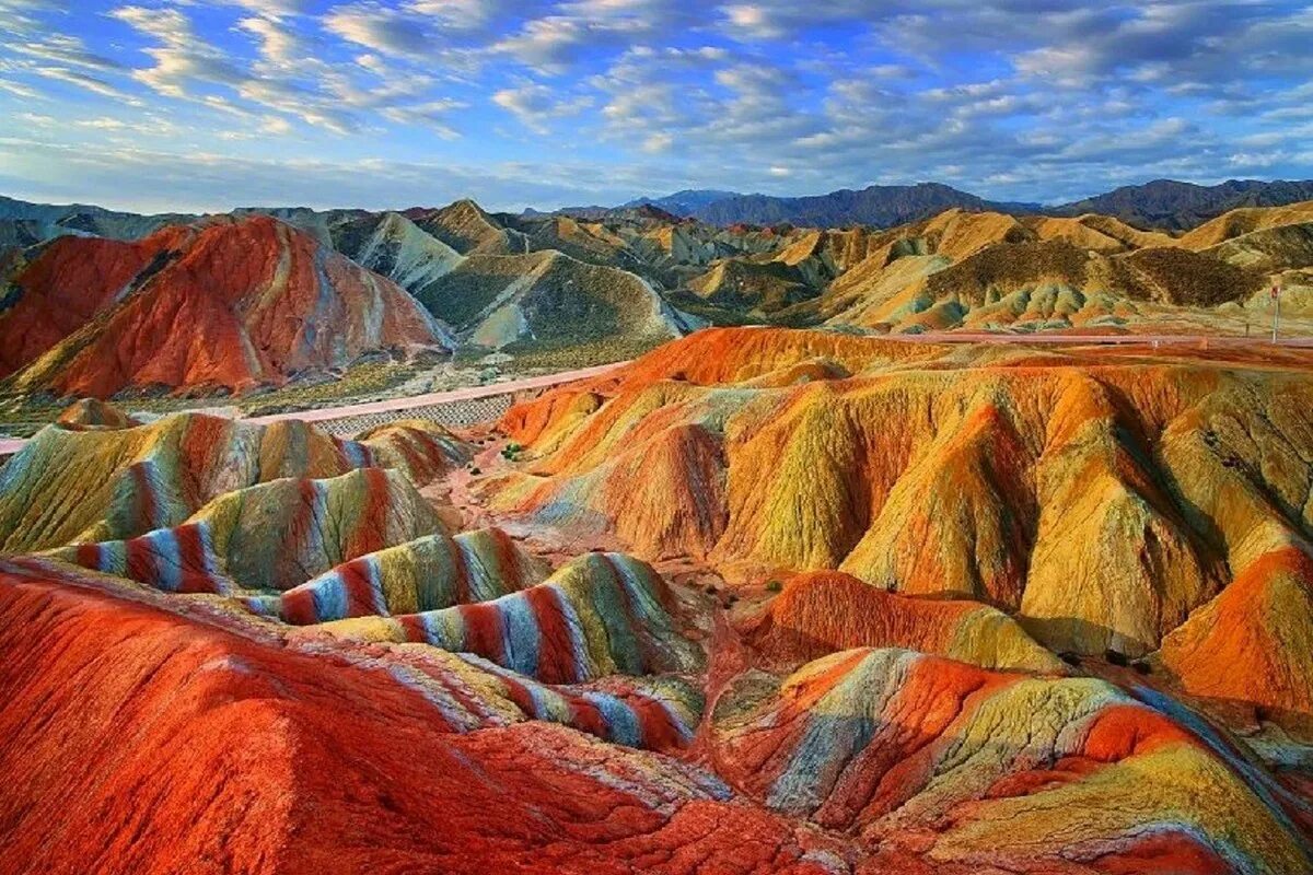 Разнообразие крупных
