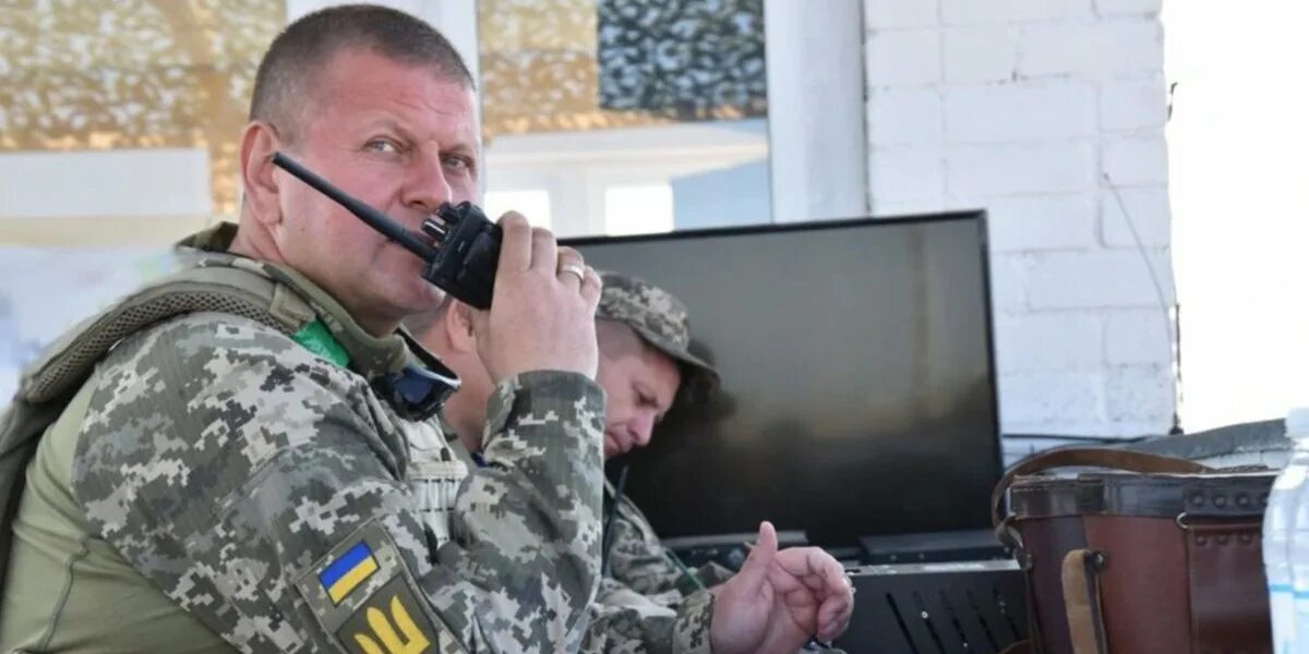 Выступление залужного последнее видео. Выступление залужного последнее видео