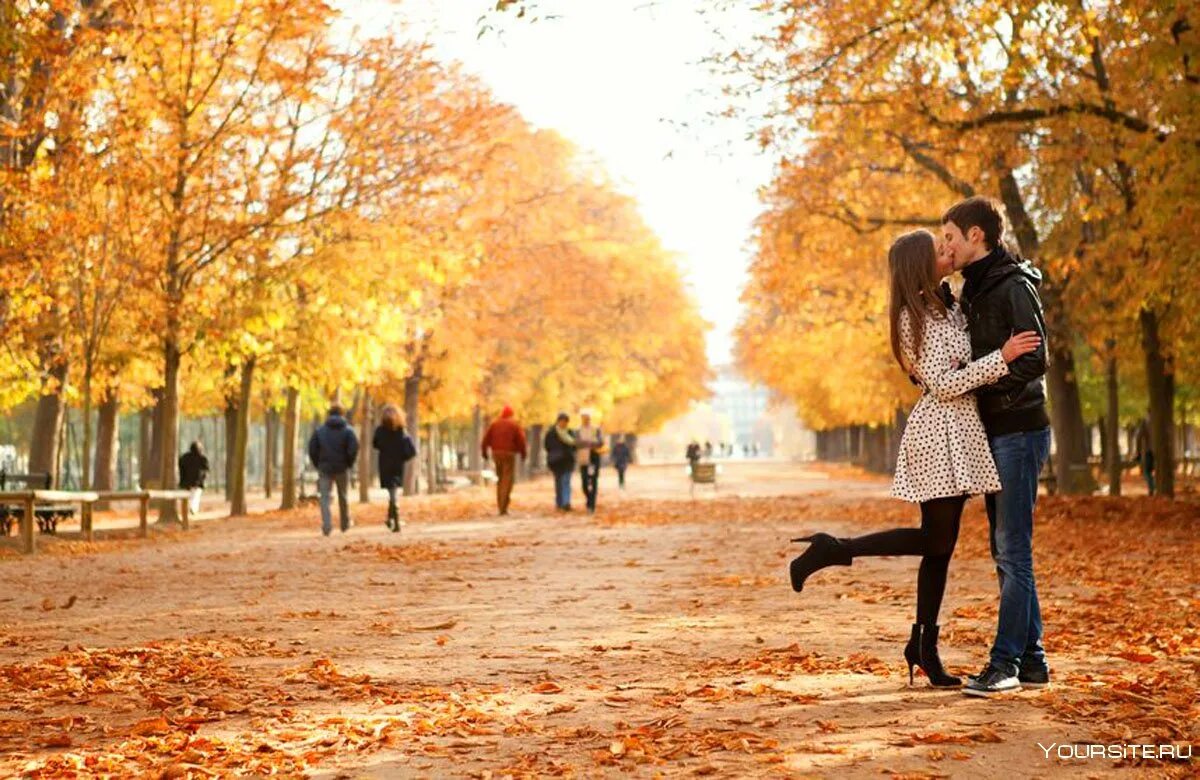 Гулять по аллее. Парень и девушка в парке. Влюбленная парочка в парке. Осенняя фотосессия. Люди на улице осенью.