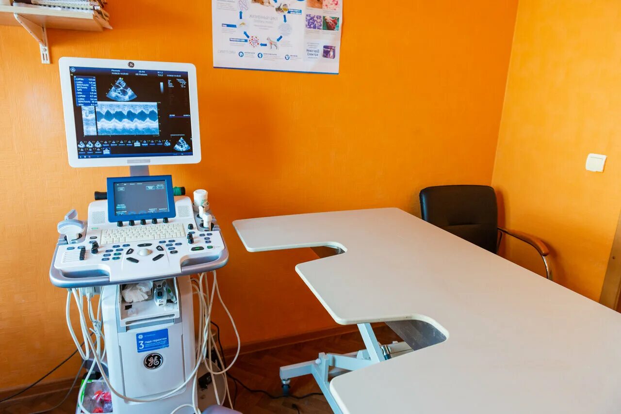 питомец ул свердлова 16 щелково отзывы. питомец ул свердлова 16 щелково отзывы. аветтура ветклиника. ветеринарная клиника питомец щелково. ветеринарная клиника питомец щелково.