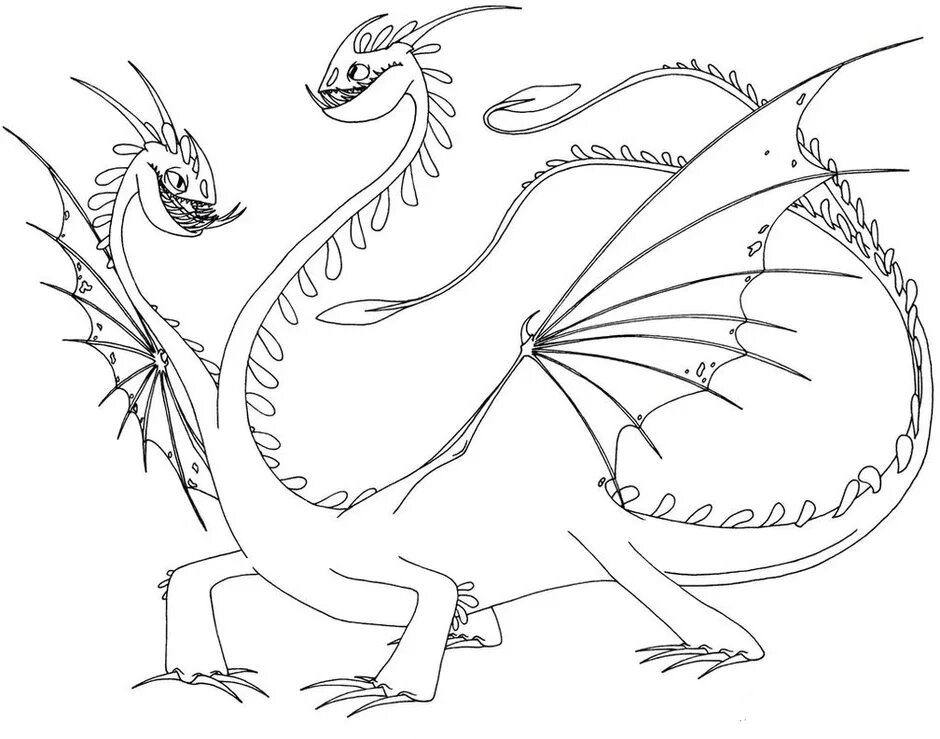 Раскраска драконы 3. Кошмарный Пристеголов дракон. Драконы из мультика как приручить дракона раскраска. Громгильда дракон. Громгильда дракон раскраска.