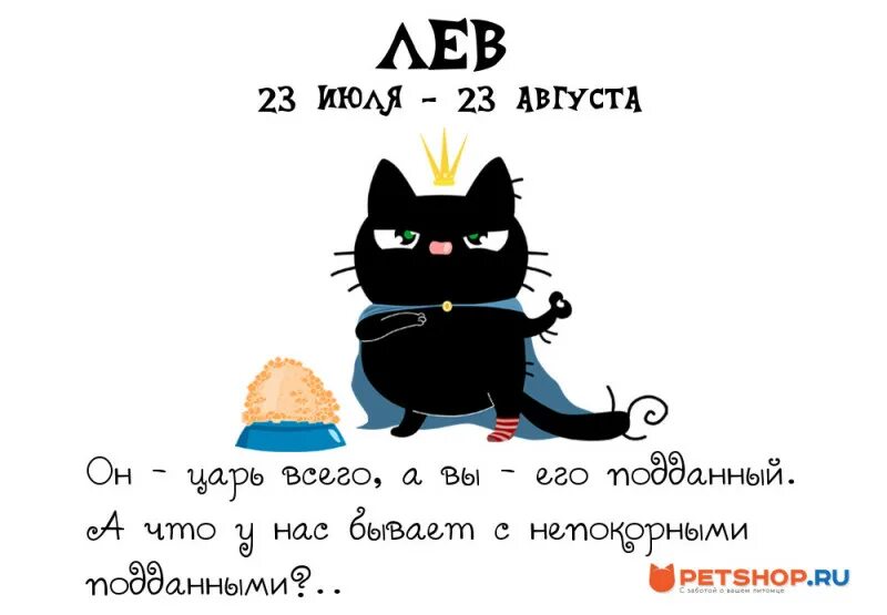 дева в год кота