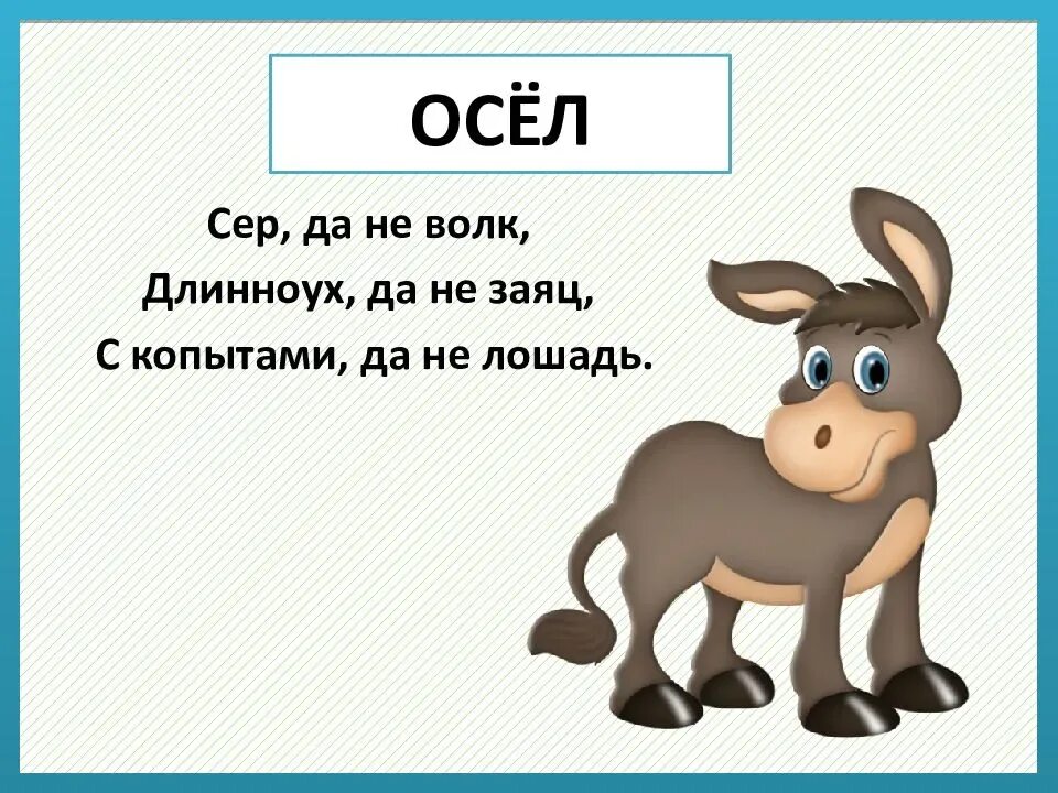 Загадки животные для детей 3 4 лет. Загадки о животных. Загадки длядетй про животных. Загадки для детей про животных с ответами. Детский загадки про животных.