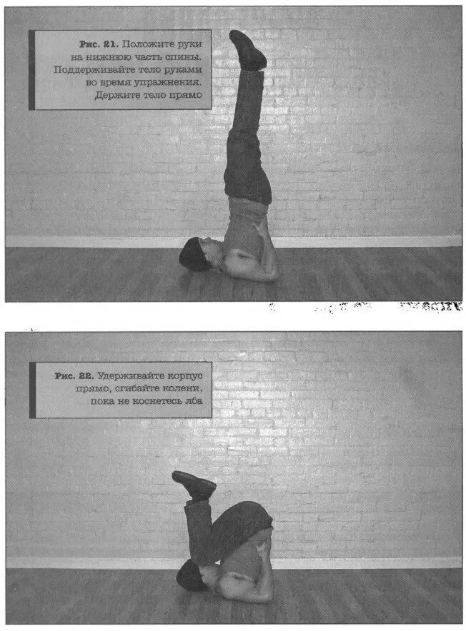 Программы пола уэйда. Тренировка заключенных пол уэйд таблица. Тренировочная зона пол уэйд тренировки. Тренировка заключенных пол уэйд таблица. Программы пола уэйда.