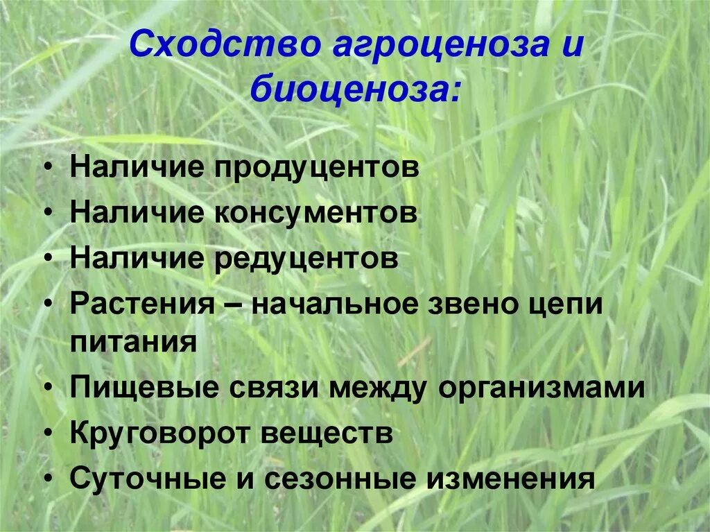 Сравните природную экосистему. Сходство агроценоза и биоценоза. Сходства агроценоза и биогеоценоза. Сходства и отличия агроценоза и биоценоза. Агроценоз и биоценоз различия.