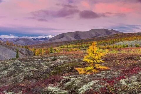 Тундра горы без леса якуты
