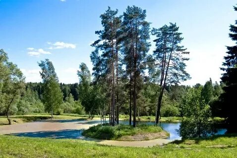 Щелыково костромская область