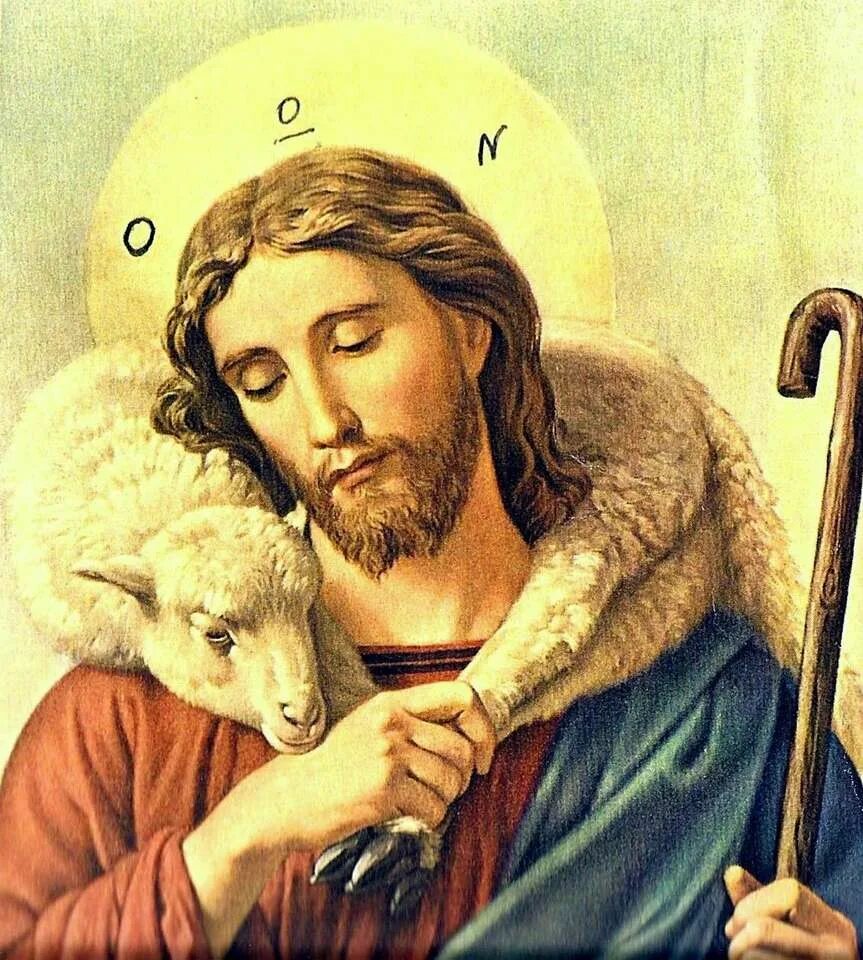 Икона с ягненком. Иисус агнец. икона господа иисуса христа. икона иисуса христа с овечкой. иисус христос с ягненком.