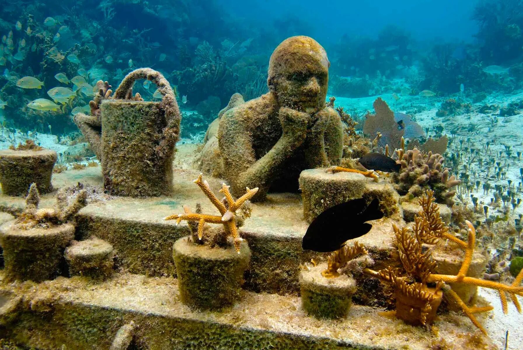 Сухой на дне океана. Музей подводных скульптур, Канкун, Мексика. Музей подводных скульптур в Канкуне. Подводный музей Musa Канкун. Музей подводных скульптур в Канкуне Мексика.