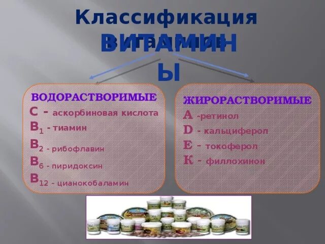 1 водорастворимые витамины. Водорастворимые и жирорастворимые витамины. Жирорастворимый витамин рибофлавин. Витамин в1 жирорастворимый или водорастворимый. Витамин б6 водорастворимый или жирорастворимый.