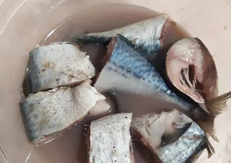 Свежемороженая скумбрия солить