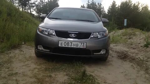 Туманки на церато