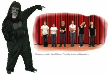 Gorilla testing