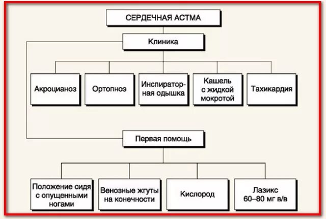 Сердечная астма алгоритм. Оказание неотложной помощи при сердечной астме. сердечная астма неотложная помощь алгоритм. неотложка сердечной астмы. сердечная астма доврачебная помощь алгоритм.