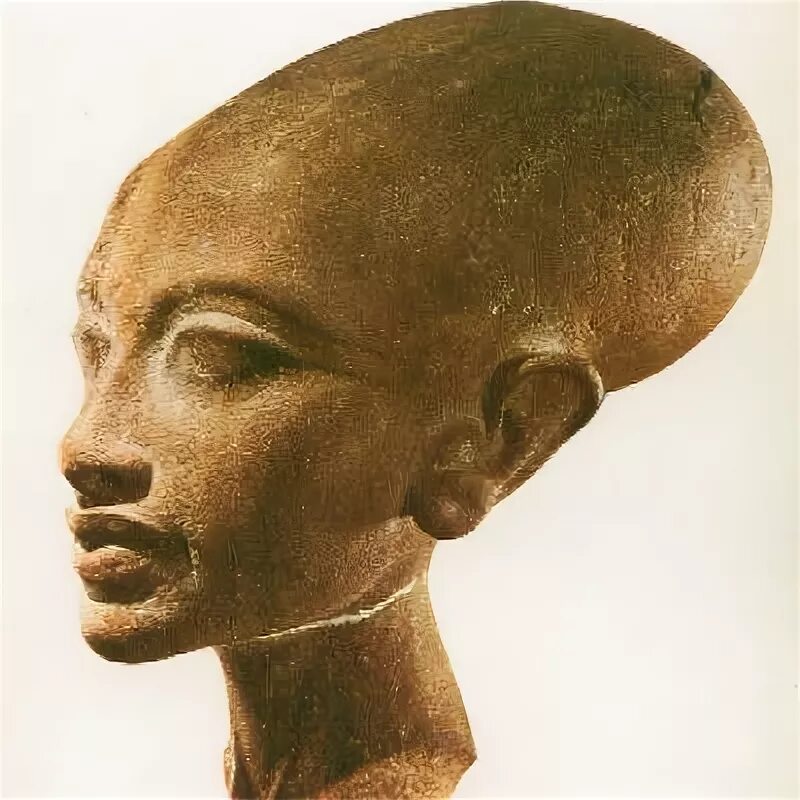 Люди с длинной головой. Яйцеголовые Нефертити. Нефертити форма черепа. Пришелец с вытянутой головой.