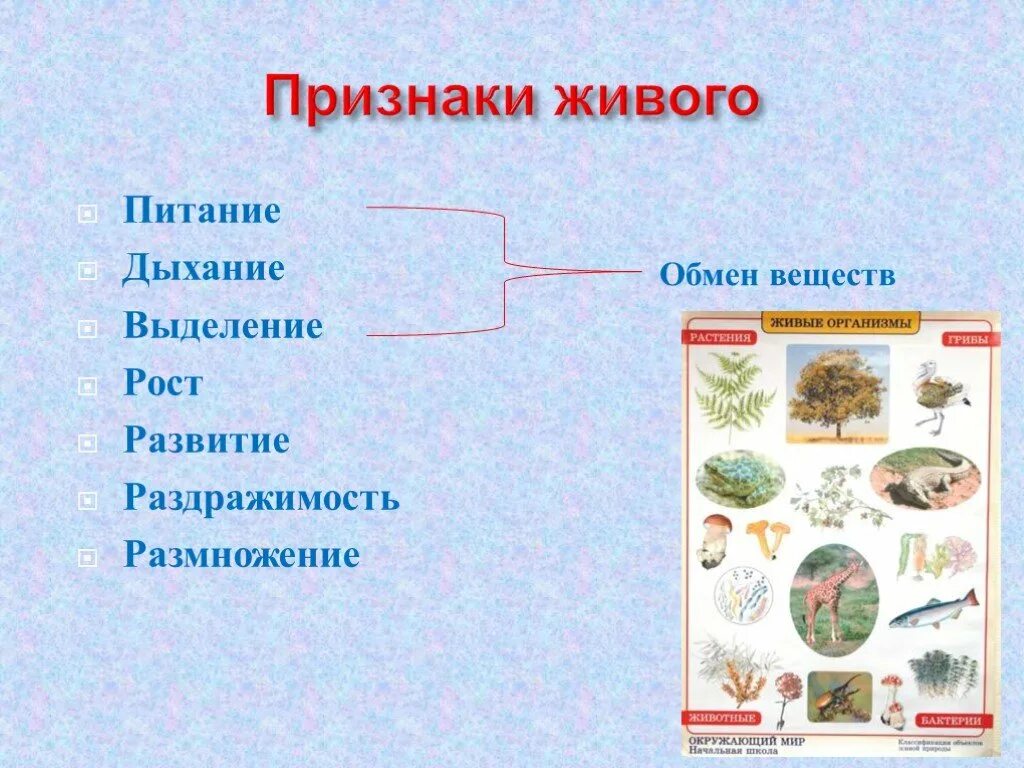 Питание и дыхание живых организмов. Признаки живых организмов растений. Признаки живого питание. Рост живых организмов. Питание дыхание движение