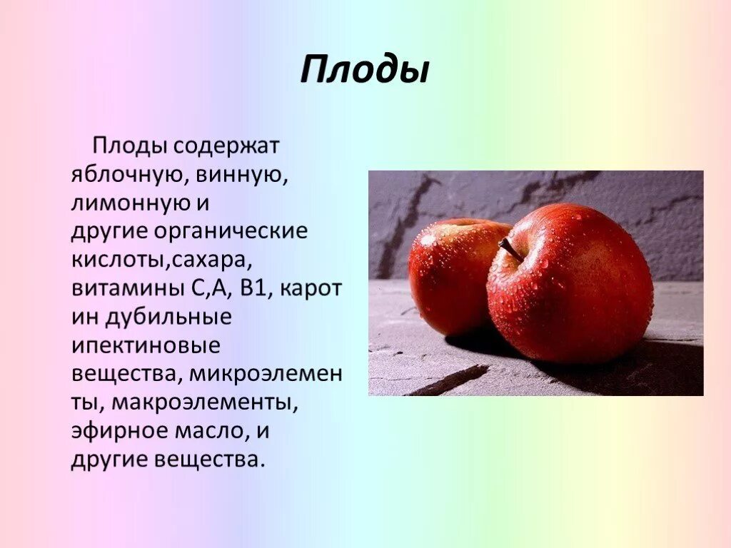 Плод яблони лексическое значение