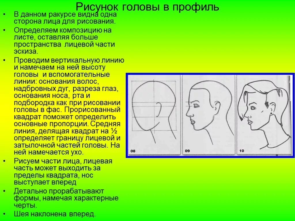 У взрослого человека голова занимает. Рисование головы человека в пространстве. Изображение головы в пространстве. Изображение головы человека в пространстве рисунок. Пропорции лица человека для рисования в профиль.