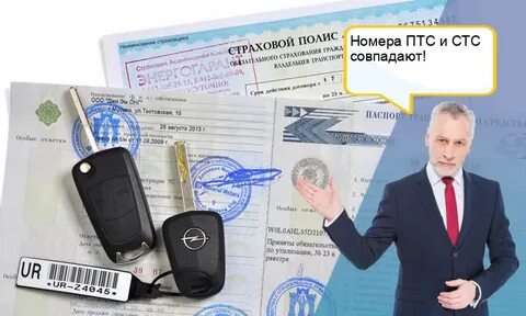 Проверить стс