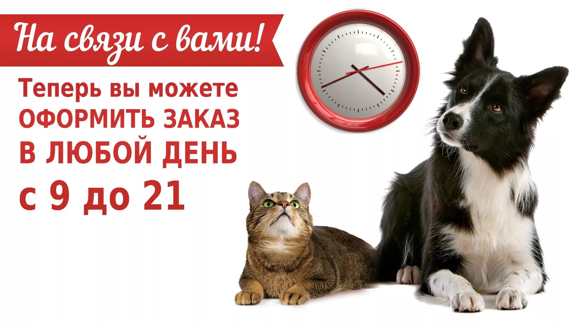 Каждый день работаешь без выходных. Мы работаем без выходных. Работаем без выходных и праздников. Прием заказов. Работаем до 21 00.