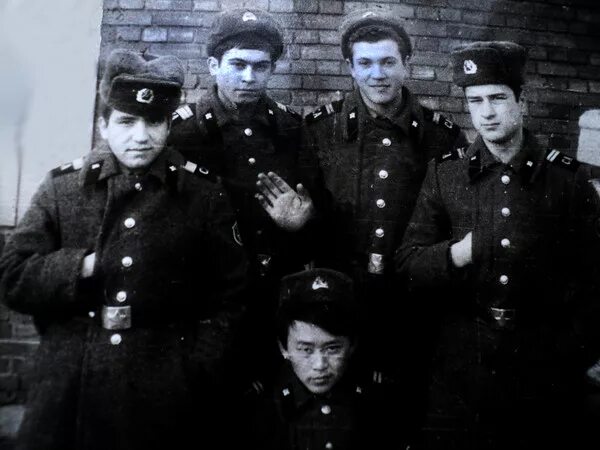 Гсвг 1981. Гсвг 1981
