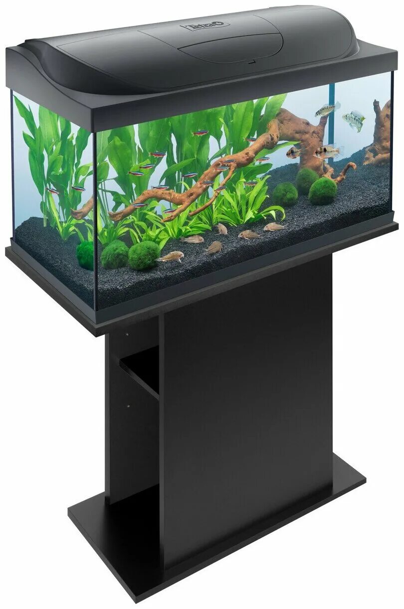 аквариум для рыб eheim aquastar 54 led 54л белый. Tetra aquaart led аквариумный комплекс 130 л. аквариум tetra aquaart 60l led tropical. аквариум tetra silhouette led 12 l. аквариум tetra silhouette led.