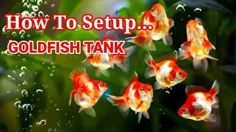 Смотреть Sex in the Forest онлайн