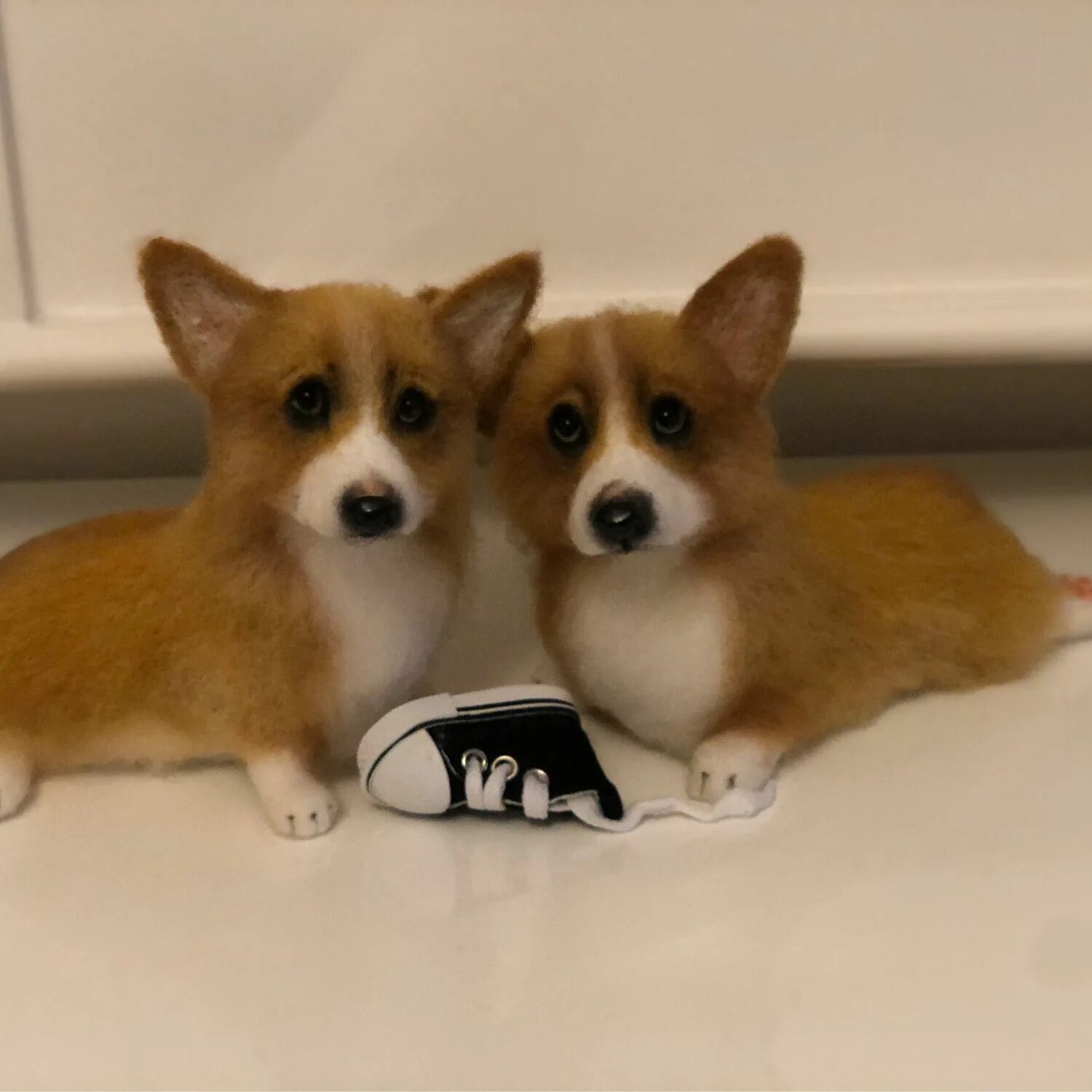 Вельш корги пемброк рыжий. Корги малыш. Вельш корги карликовый. Пропала корги в бутово москва. Порода вельш корги пемброк.