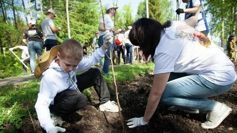 Московская посадка