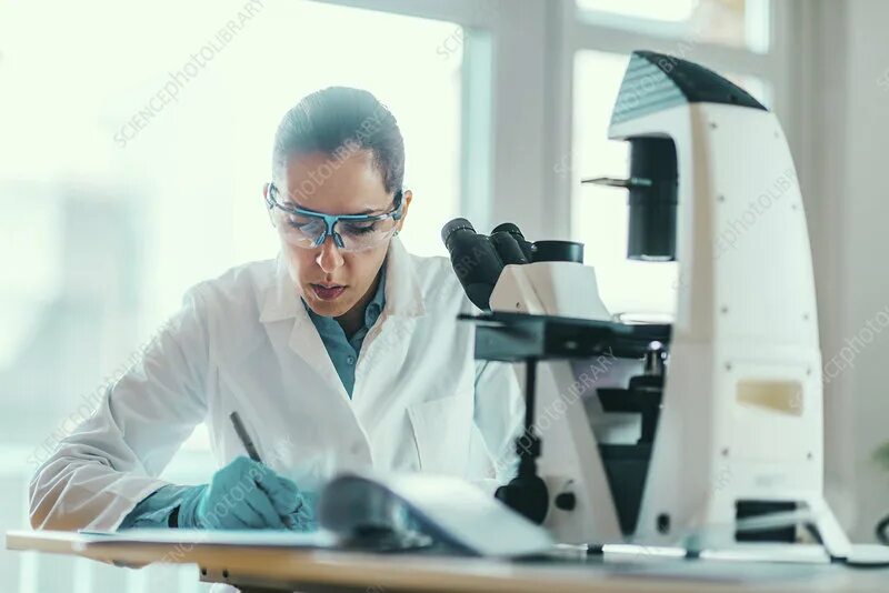 Scientists have discovered that