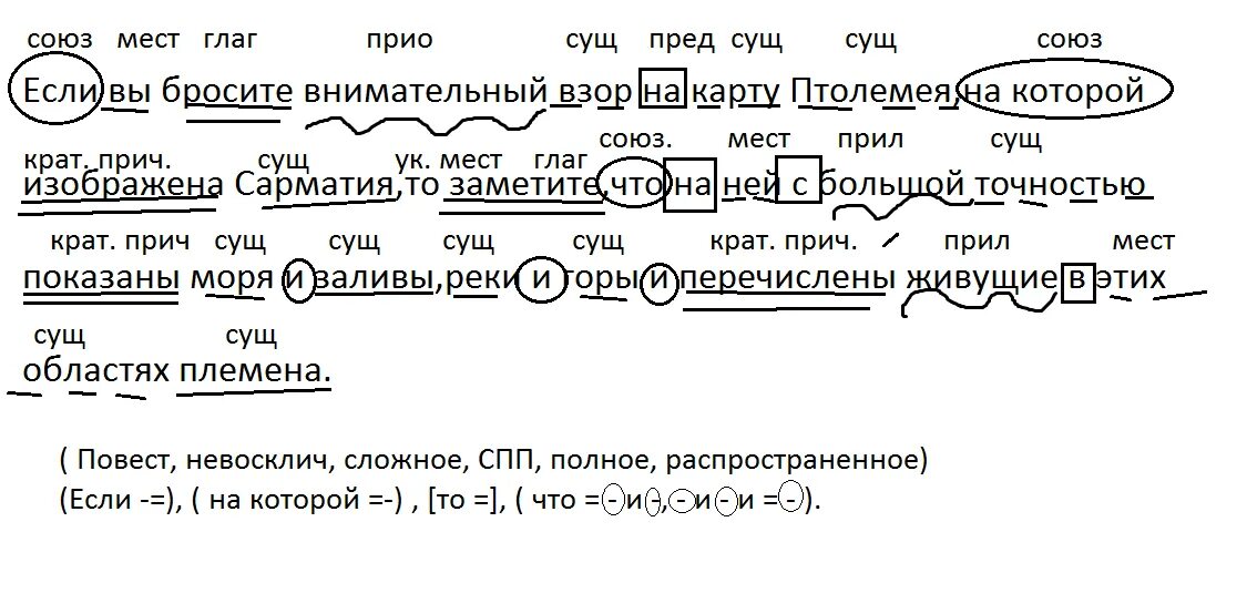 Синтаксический разбор предложения схема. Разбор предложения по составу схема. Схема разбора простого предложения. Образец разбора предложения.