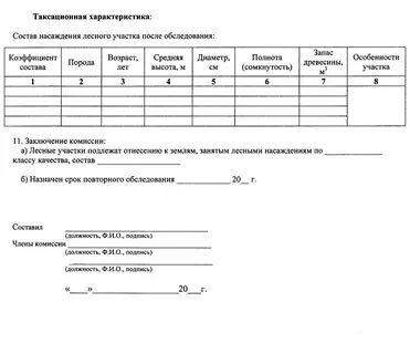 Натурное техническое обследование лесного участка